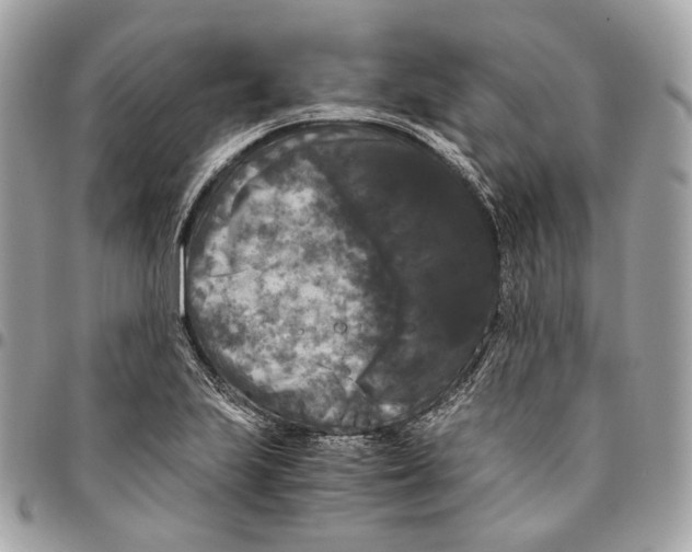 X0000096161223200802081427