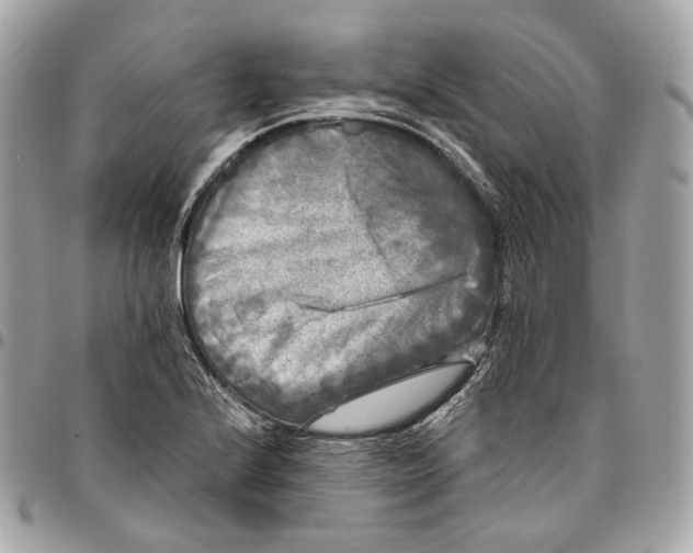 X0000096161224200802081427