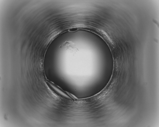 X0000096161225200802081427