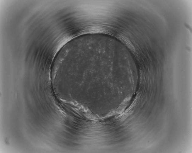 X0000096161226200802081427