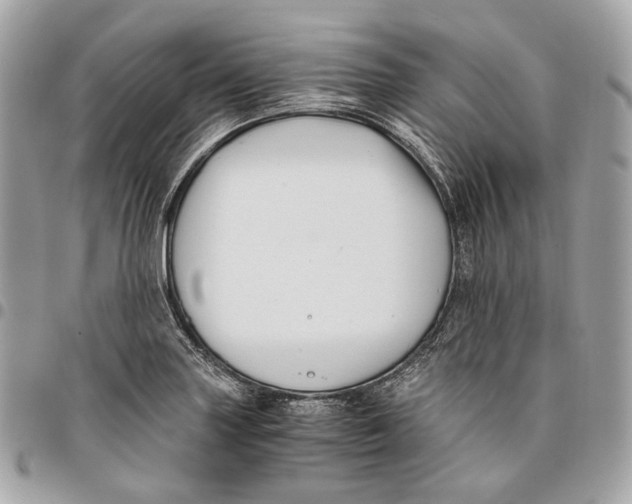 X0000096161227200802081427