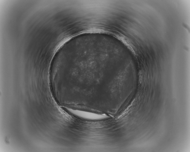 X0000096161229200802081427