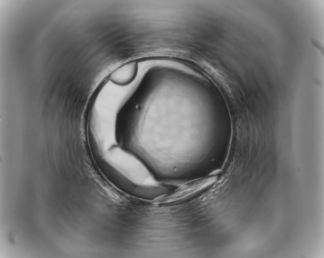 X0000096161230200802081427