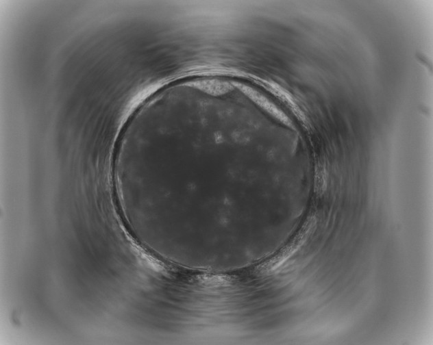 X0000096161231200802081427