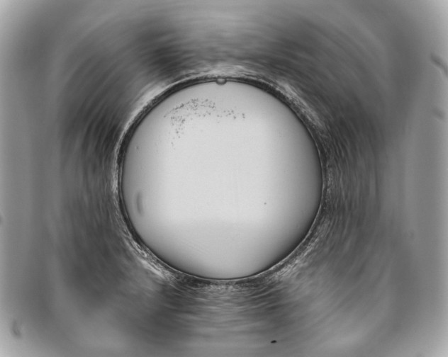 X0000096161232200802081427