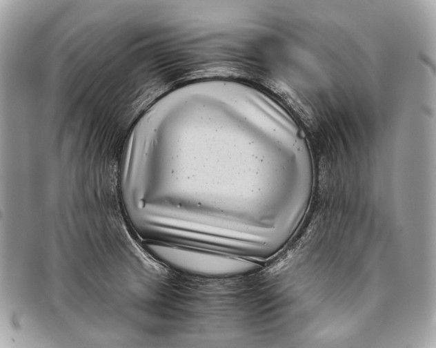 X0000096161233200802081427