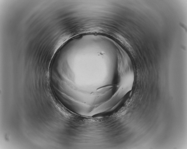 X0000096161234200802081427