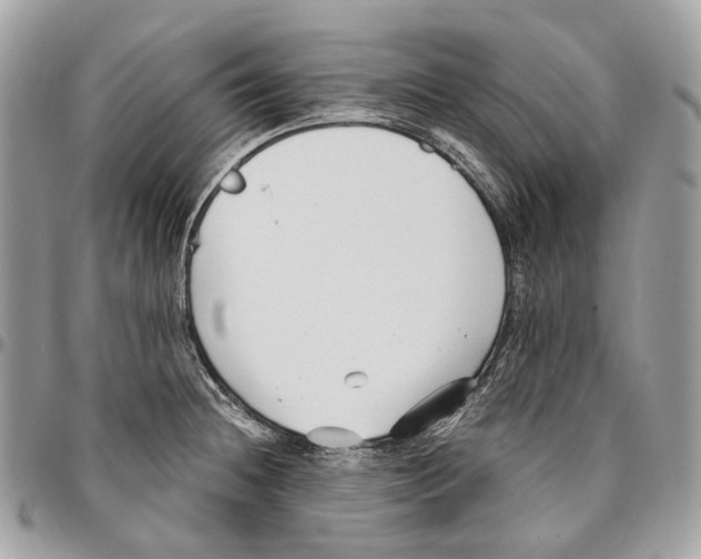 X0000096161236200802081427