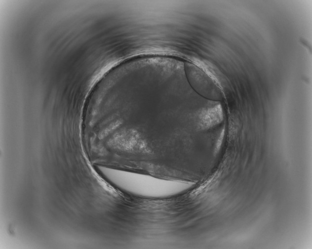 X0000096161237200802081427