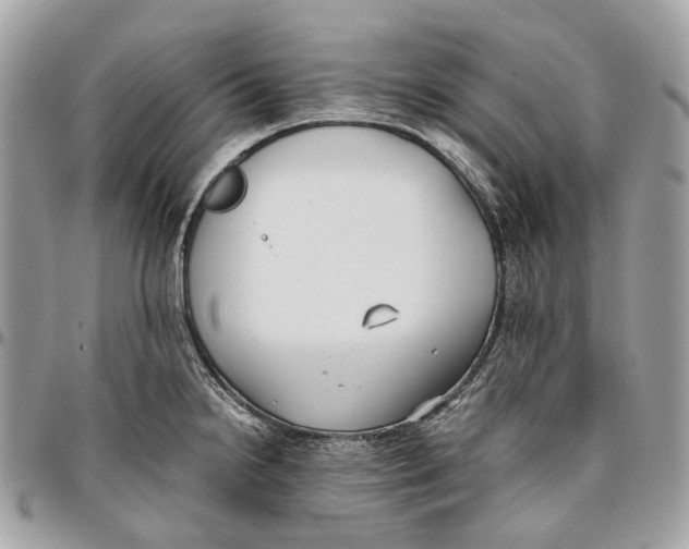 X0000096161238200802081427