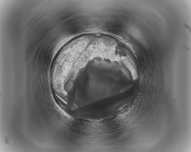 X0000096161239200802081427