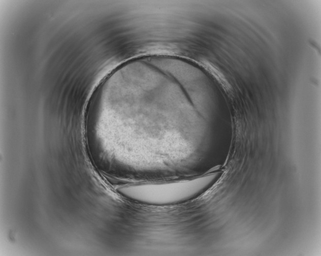 X0000096161240200802081427