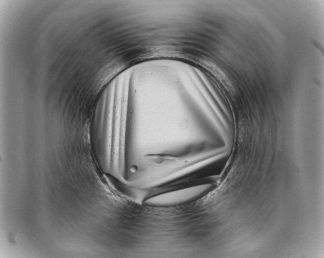 X0000096161241200802081427