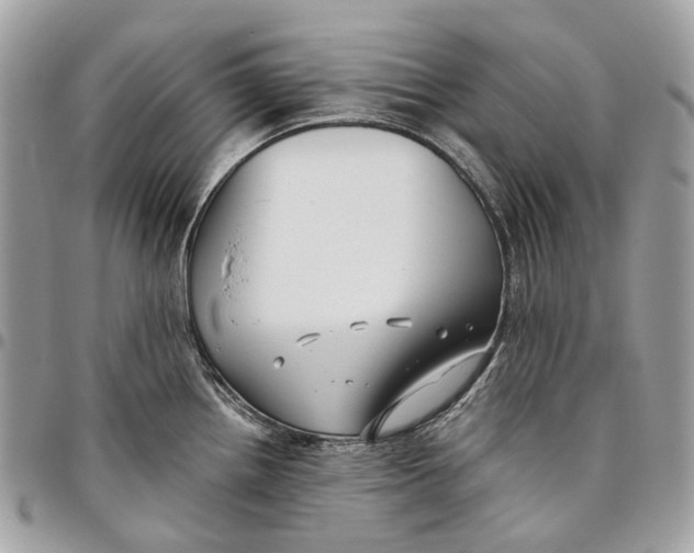 X0000096161242200802081427