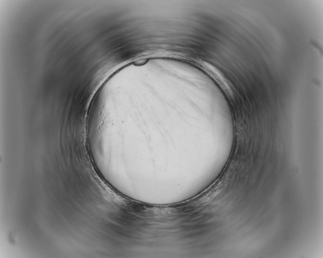 X0000096161244200802081427