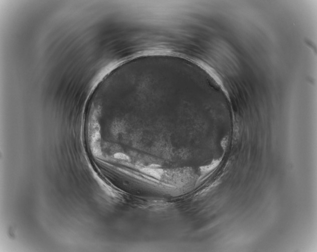 X0000096161245200802081427