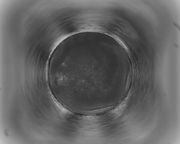 X0000096161246200802081427