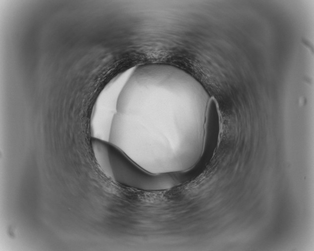 X0000096161249200802081426