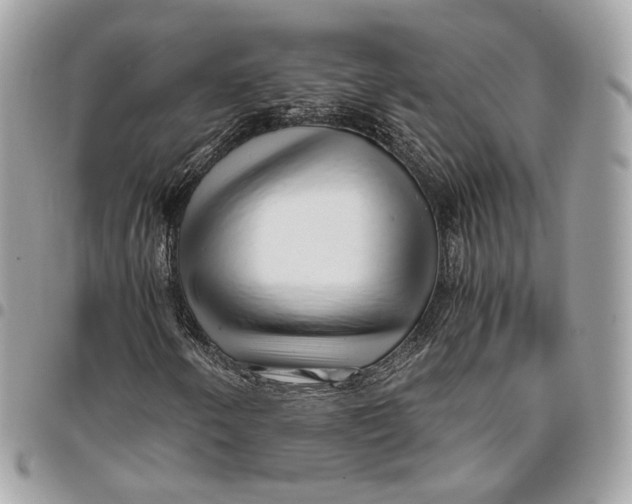 X0000096161250200802081426