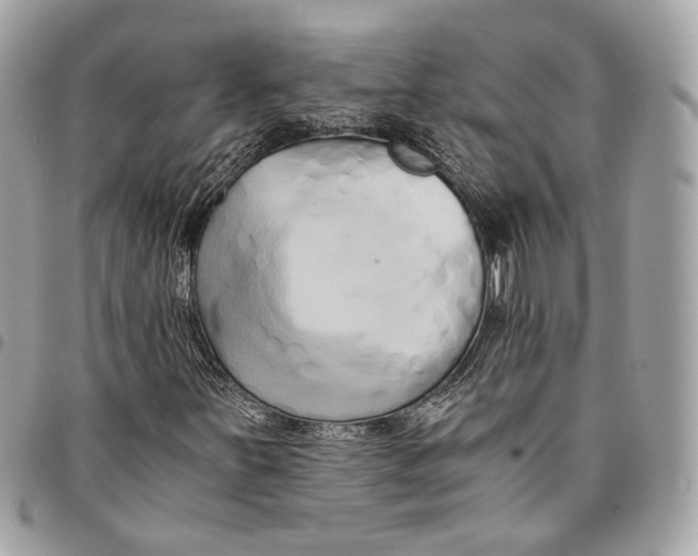 X0000096161251200802081426