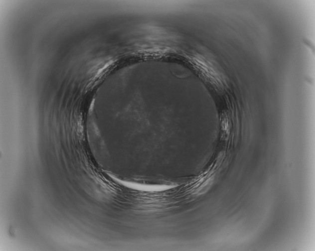 X0000096161252200802081426