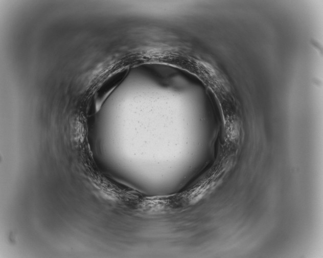 X0000096161253200802081426