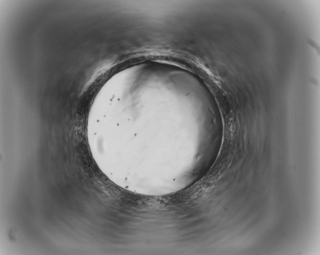 X0000096161255200802081426