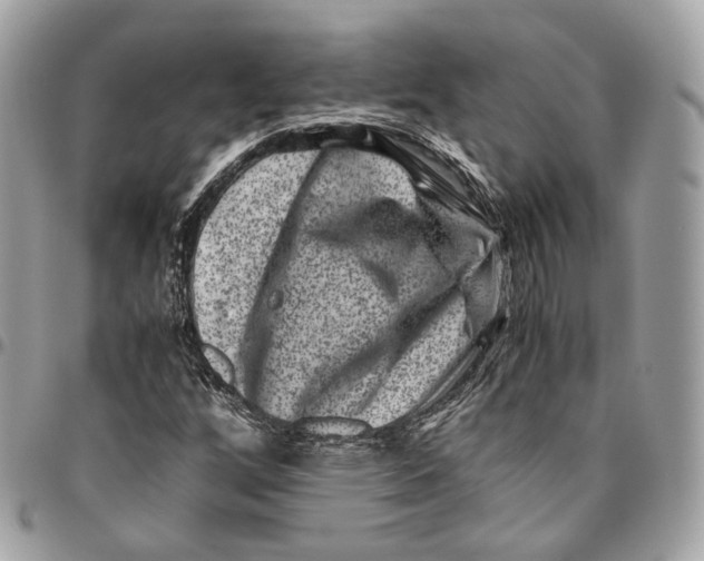 X0000096161256200802081426