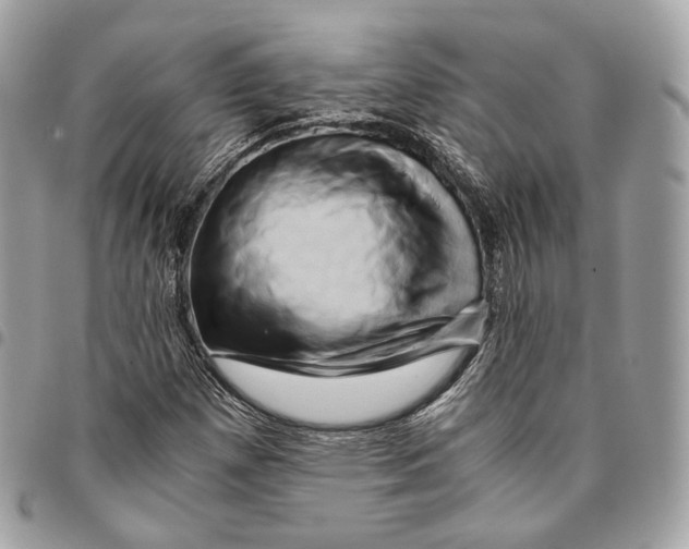 X0000096161257200802081426