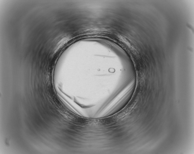 X0000096161259200802081426