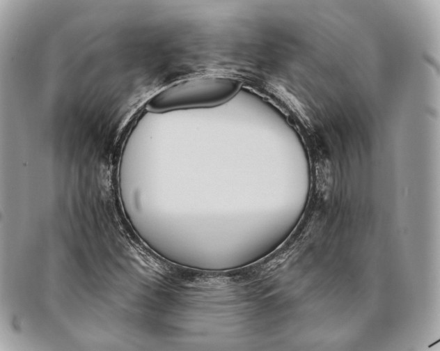 X0000096161260200802081426