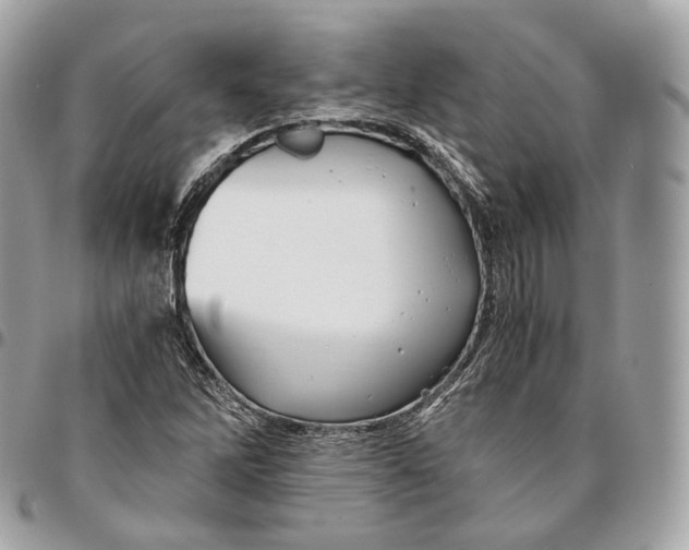 X0000096161262200802081426