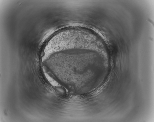 X0000096161263200802081426