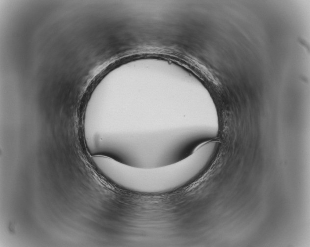 X0000096161264200802081426