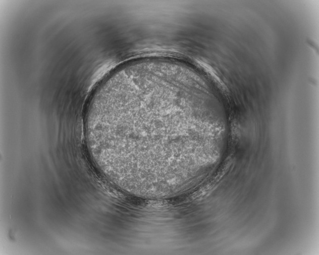 X0000096161267200802081426