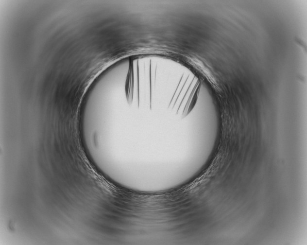 X0000096161268200802081426