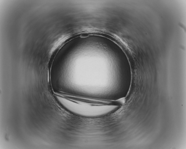 X0000096161269200802081426