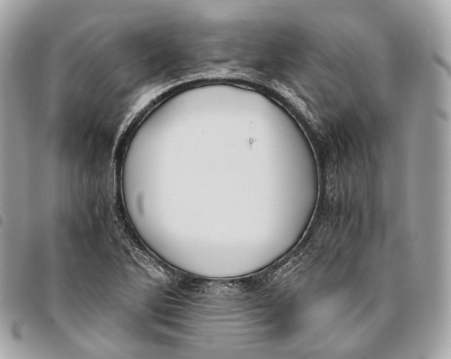 X0000096161270200802081426