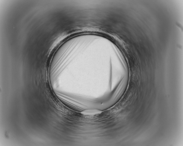 X0000096161271200802081426