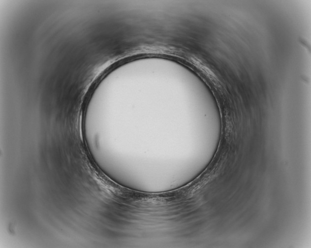 X0000096161272200802081426