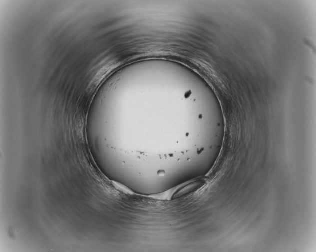 X0000096161273200802081426