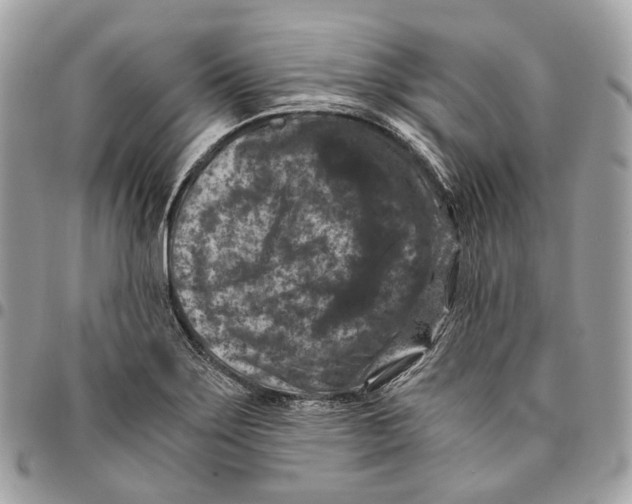 X0000096161275200802081426