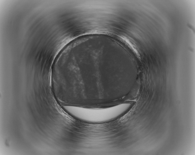 X0000096161276200802081426