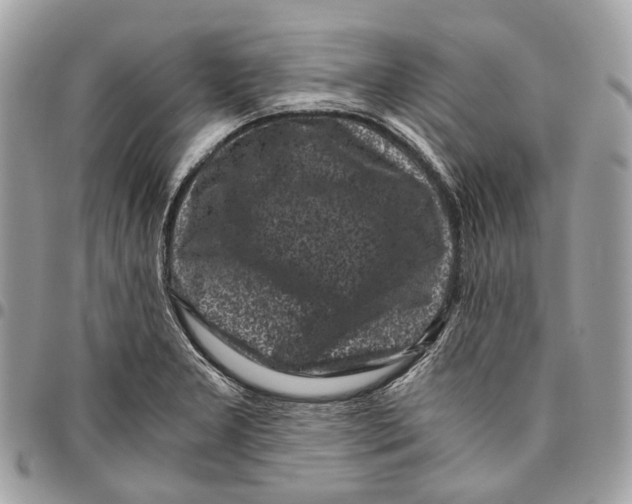 X0000096161277200802081426