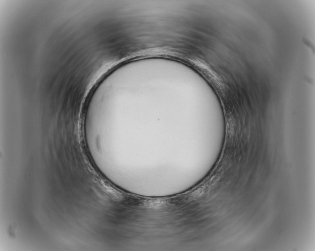 X0000096161278200802081426