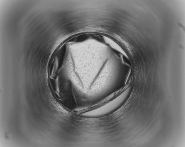 X0000096161280200802081426