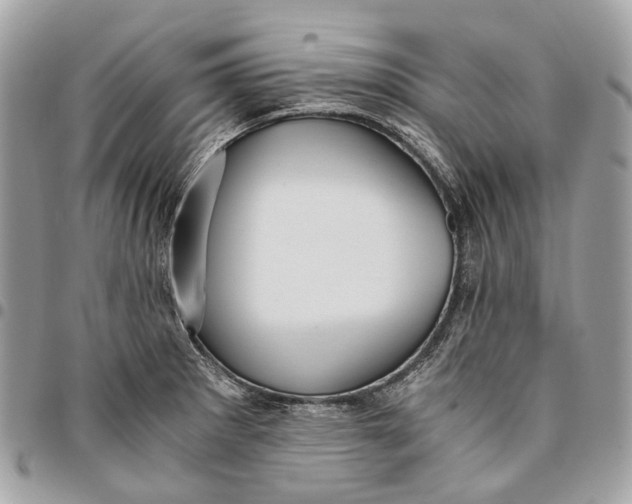 X0000096161281200802081426