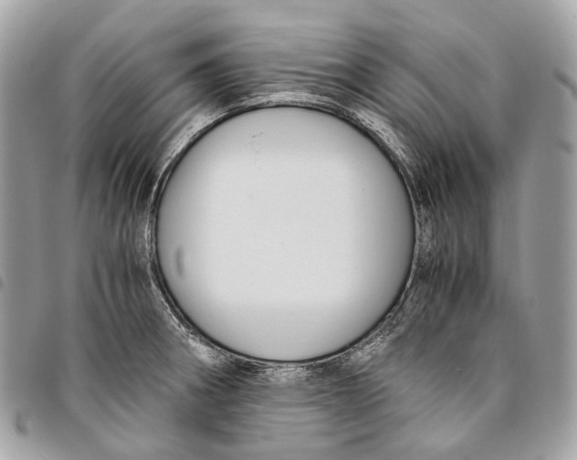 X0000096161282200802081426