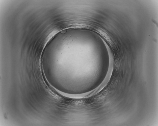 X0000096161283200802081426