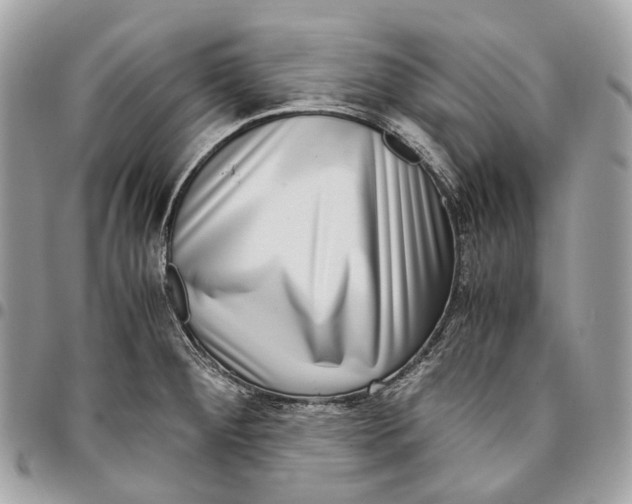 X0000096161284200802081426